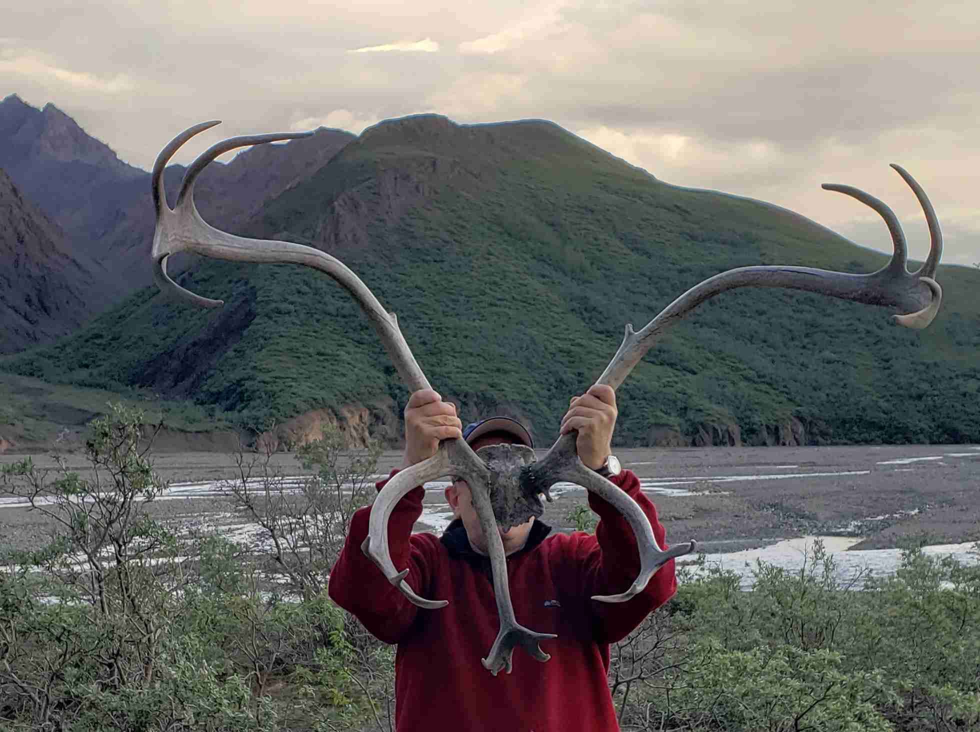 2019-06-14 ALCAN Denali Tolkat Randy horns.jpg